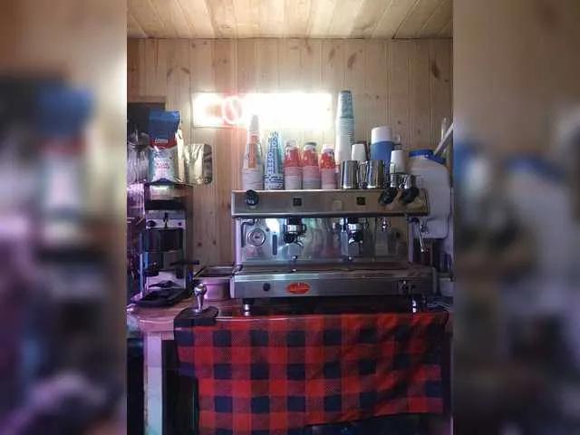 BongaCams Katriona is Freechat Katriona — Intelligence,sexy bodies