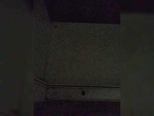 TvoiMinet — Freechat on BongaCams