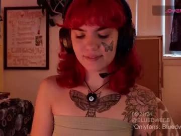 bluedweeb from Chaturbate is Freechat