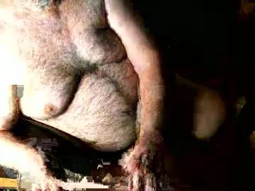 hairybear813 from Chaturbate is Freechat